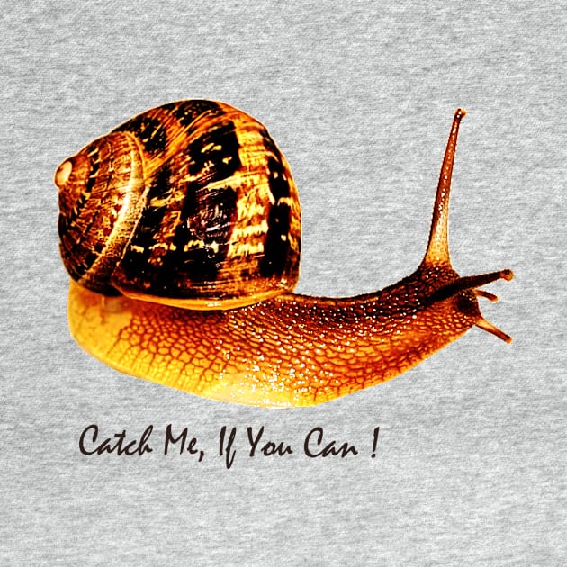 Catch Me If You Can by mindprintz